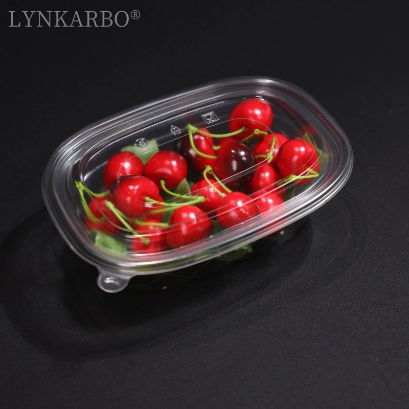PLA Lunchbox